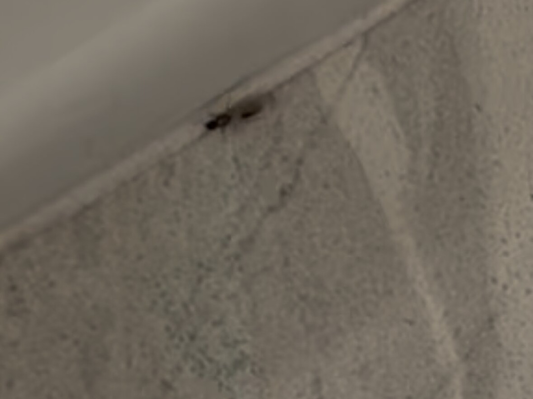 Fairfield by Marriott Inn & Suites Boulder Longmont主图