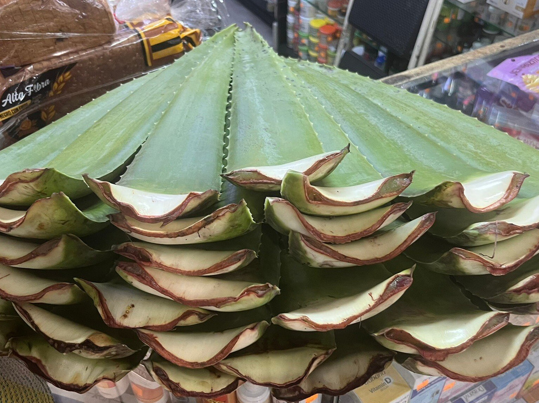 Central Market (Mercado Central)-圣何塞必去景点