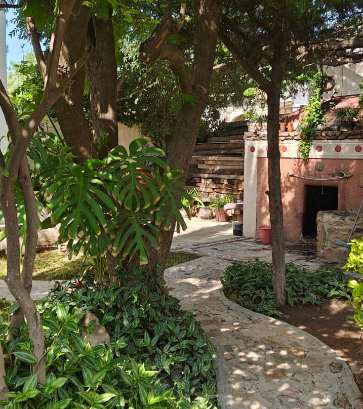 Temazcal Tonatiu Iquzayampa-null必去景点