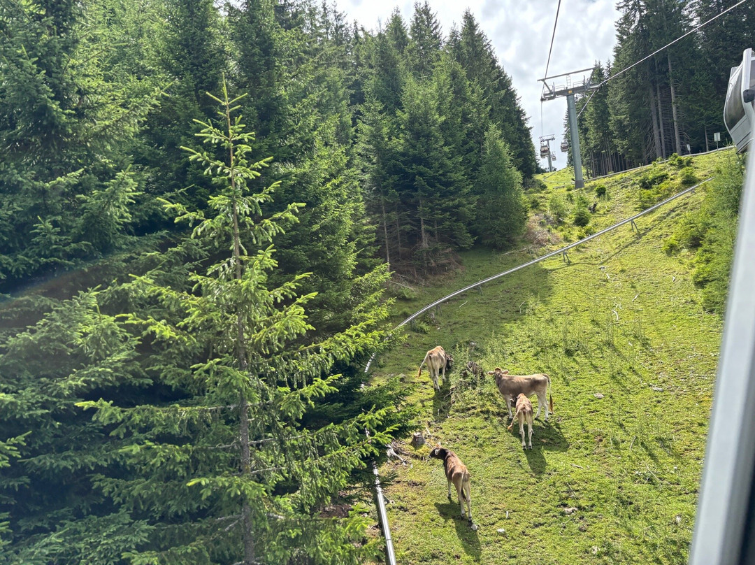 Serlesbahnen-Mieders必去景点