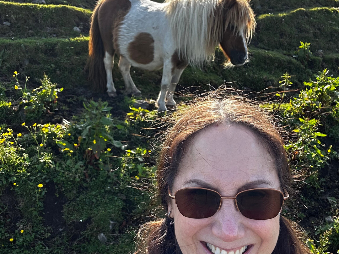 Shetland Footprints Guided Tours-Whiteness必去景点