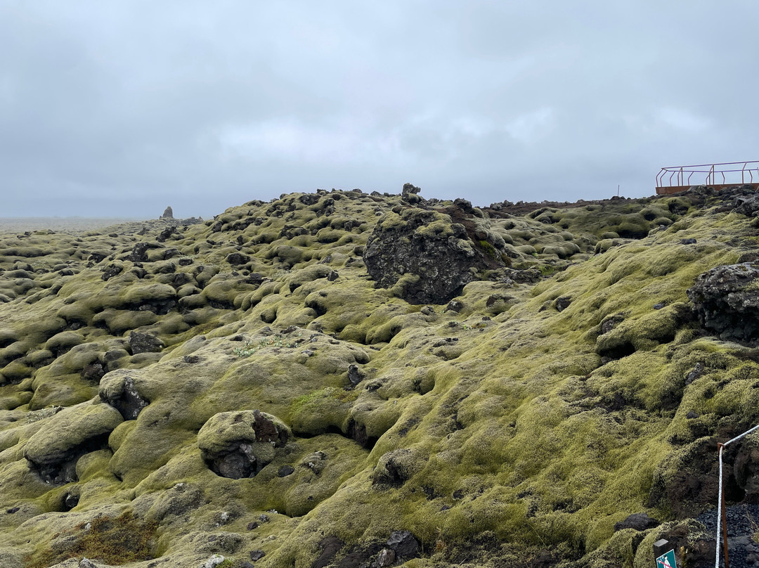 Eldhraun Lava Field