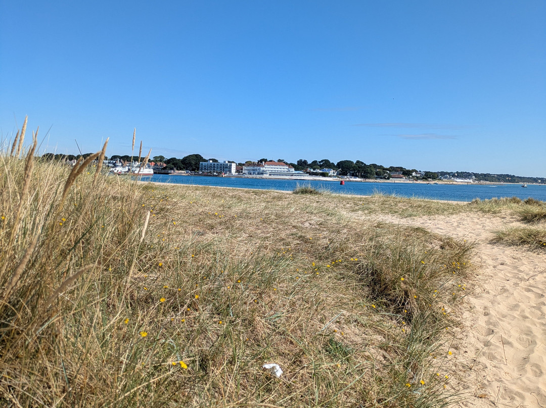 Shell Bay-Studland必去景点