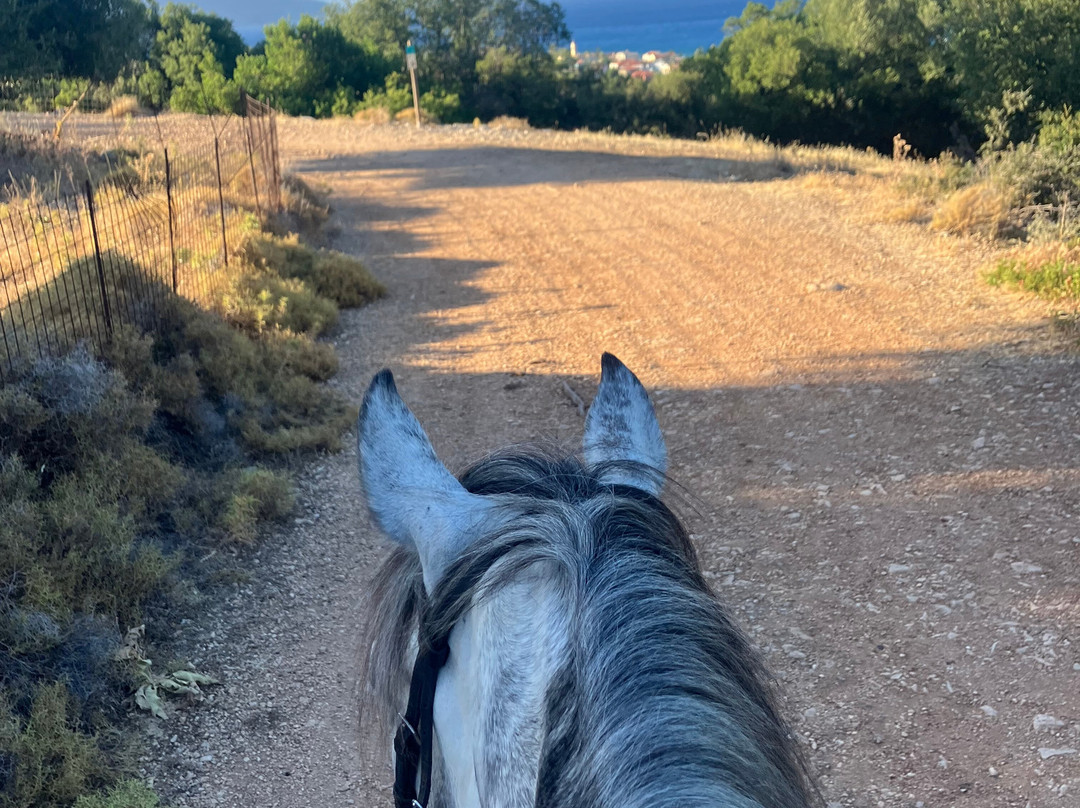 Kefalonia's Horse Riding Stable-萨米必去景点