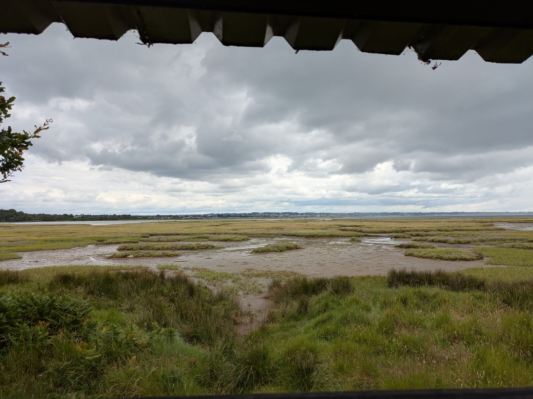 RSPB Arne-Arne必去景点
