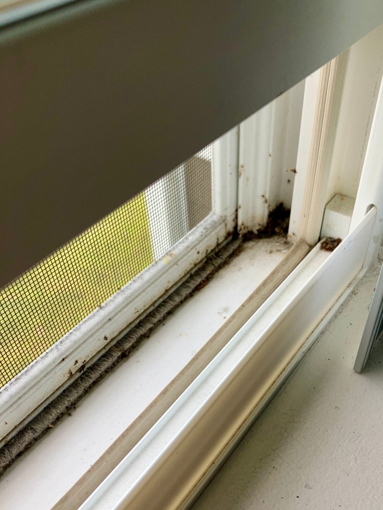 萨拉纳克湖voco酒店-湖滨-由洲际酒店集团管理-客卧