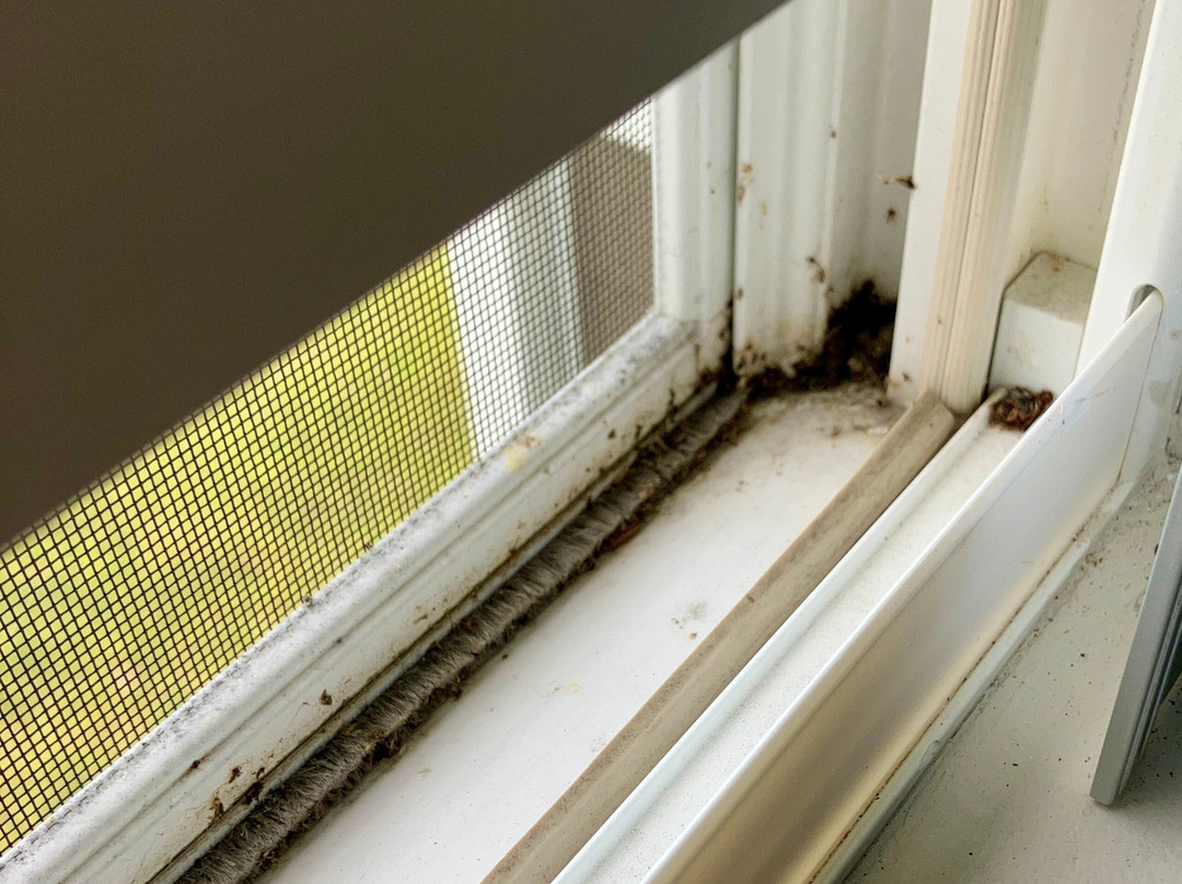 Voco Saranac Lake Ny - Waterfront By Ihg主图