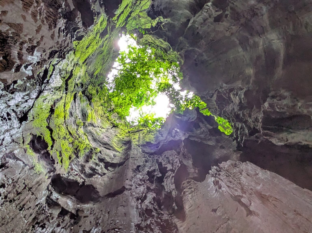 Bat Cave-武吉拉旺必去景点