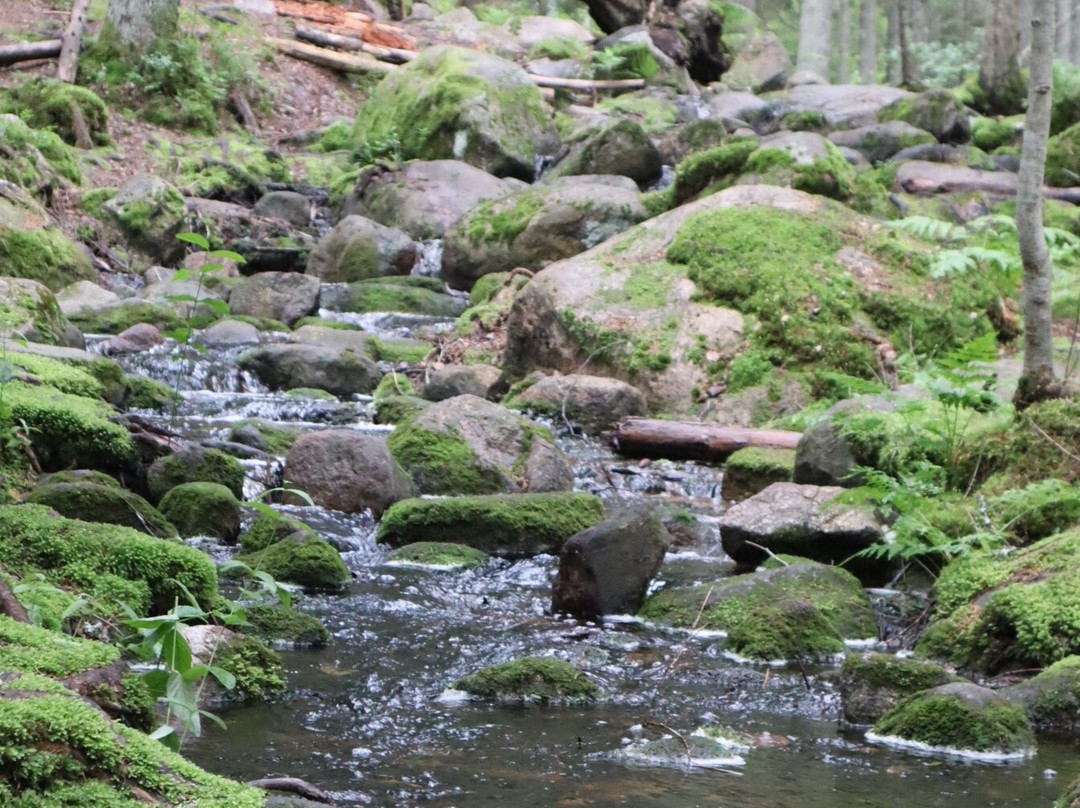 Nuuksio National Park-埃斯波必去景点