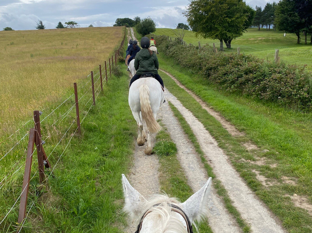 Killarney Riding Stables-基拉尼必去景点