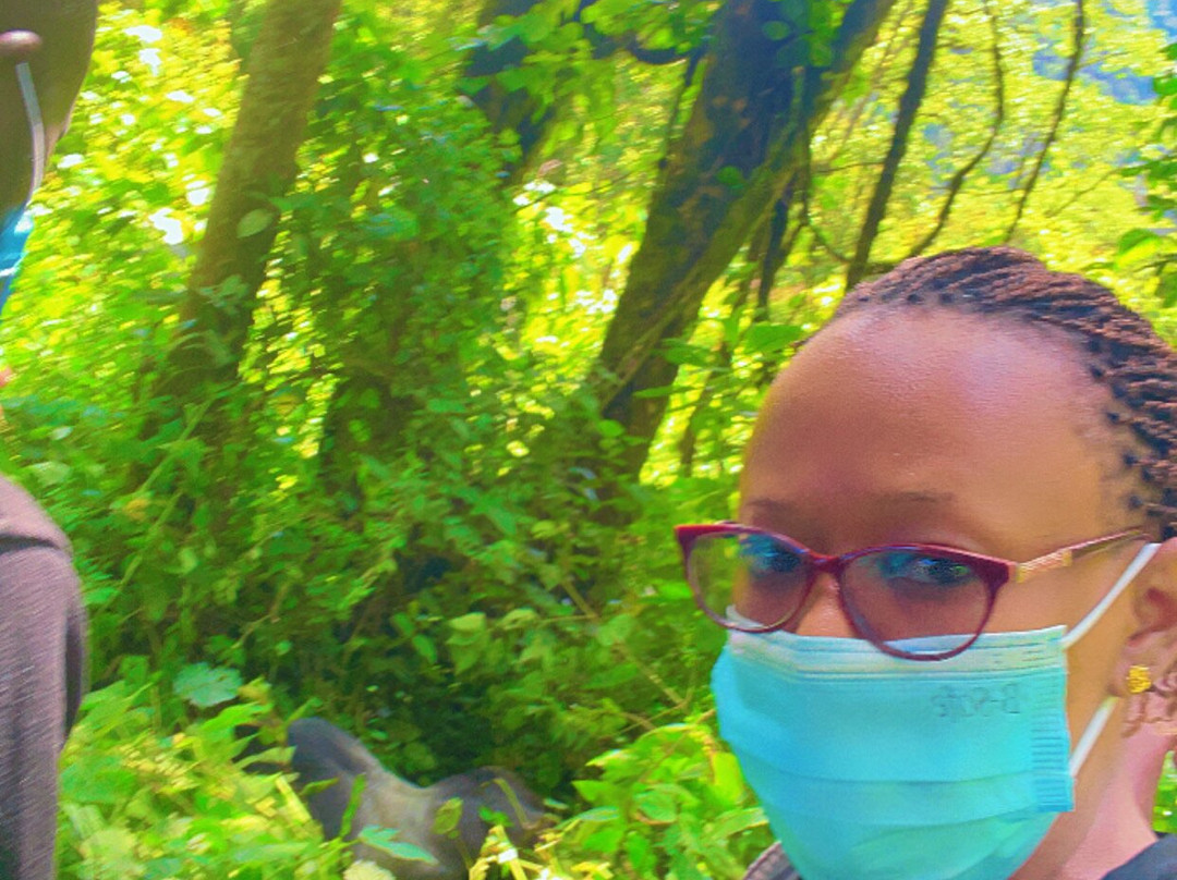 Astellar Travels Africa-内罗毕必去景点