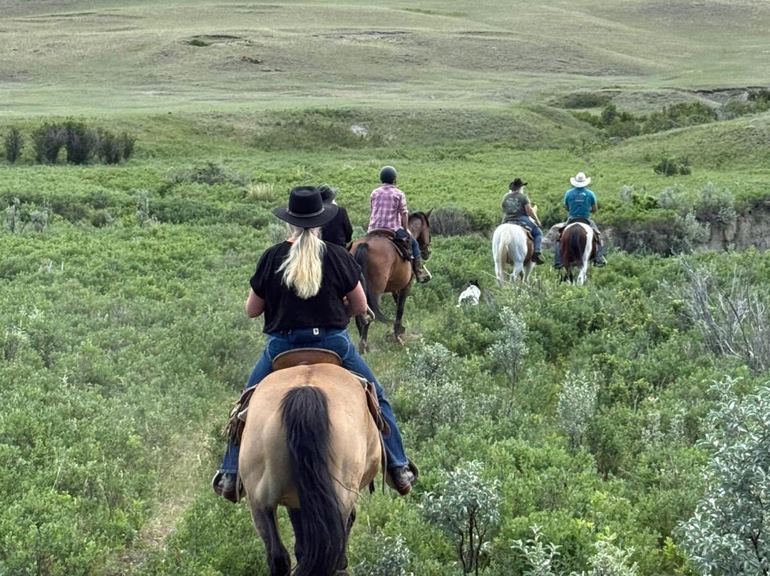 DeBoo Ranch Adventures-Valier必去景点