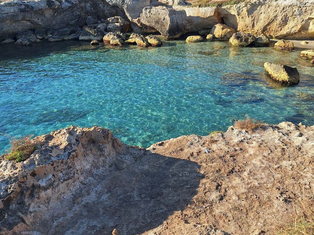 Oasis Park Hotel主图