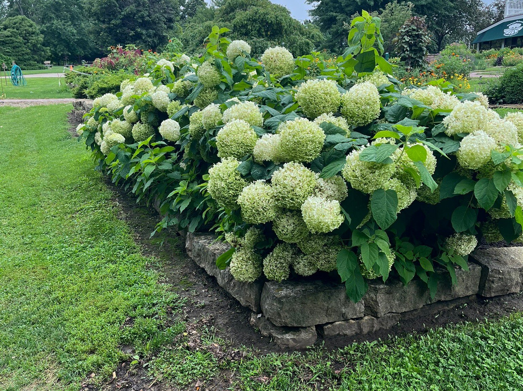 Dubuque Arboretum & Botanical Gardens-迪比克必去景点