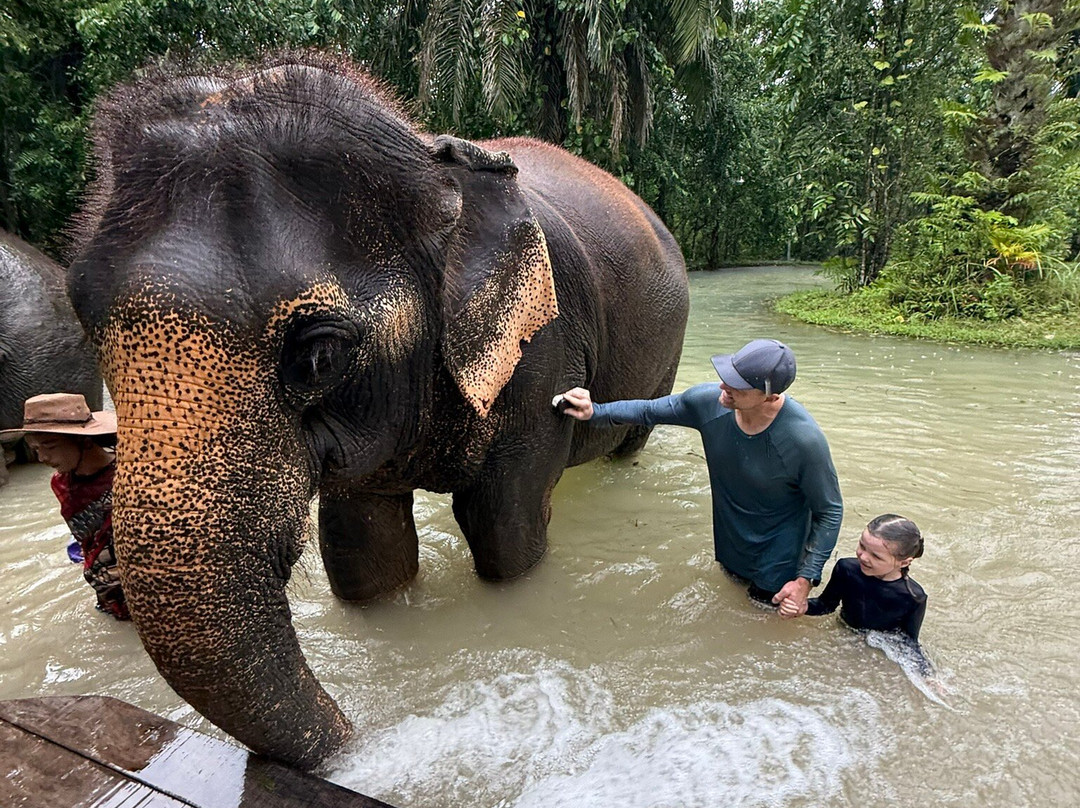 Krabi Elephant Sanctuary-甲米必去景点