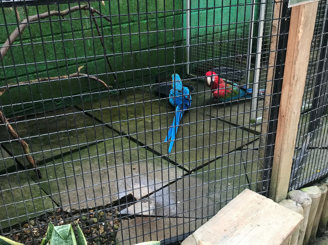 Bugtopia Hornsea Zoo-Hornsea必去景点