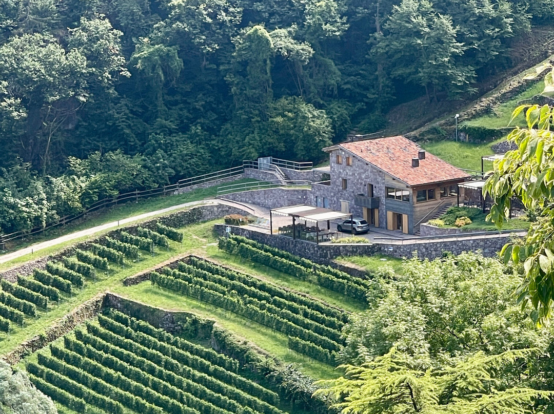 Parco del Lago Moro-Darfo Boario Terme必去景点