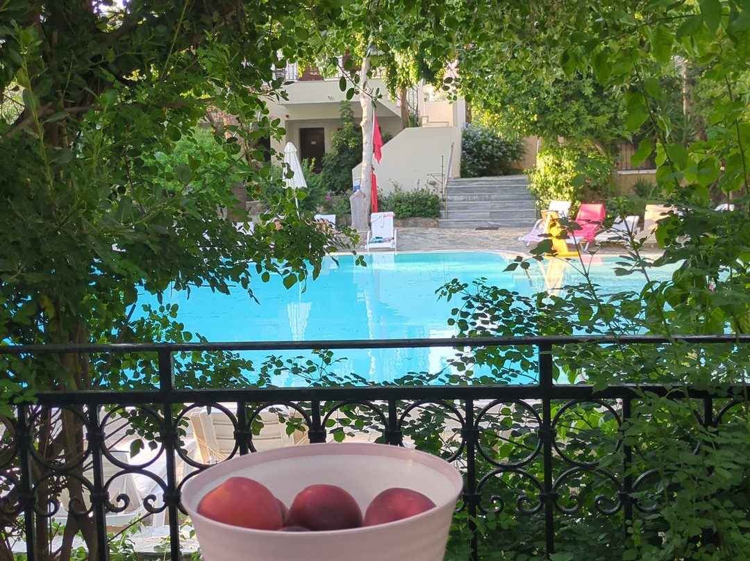 Kalydna Island Hotel主图