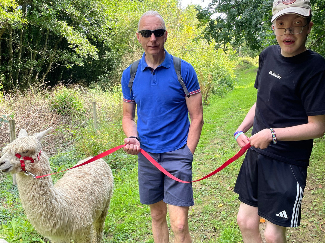 Popham Farm Alpaca Trekking-索尔塔什必去景点