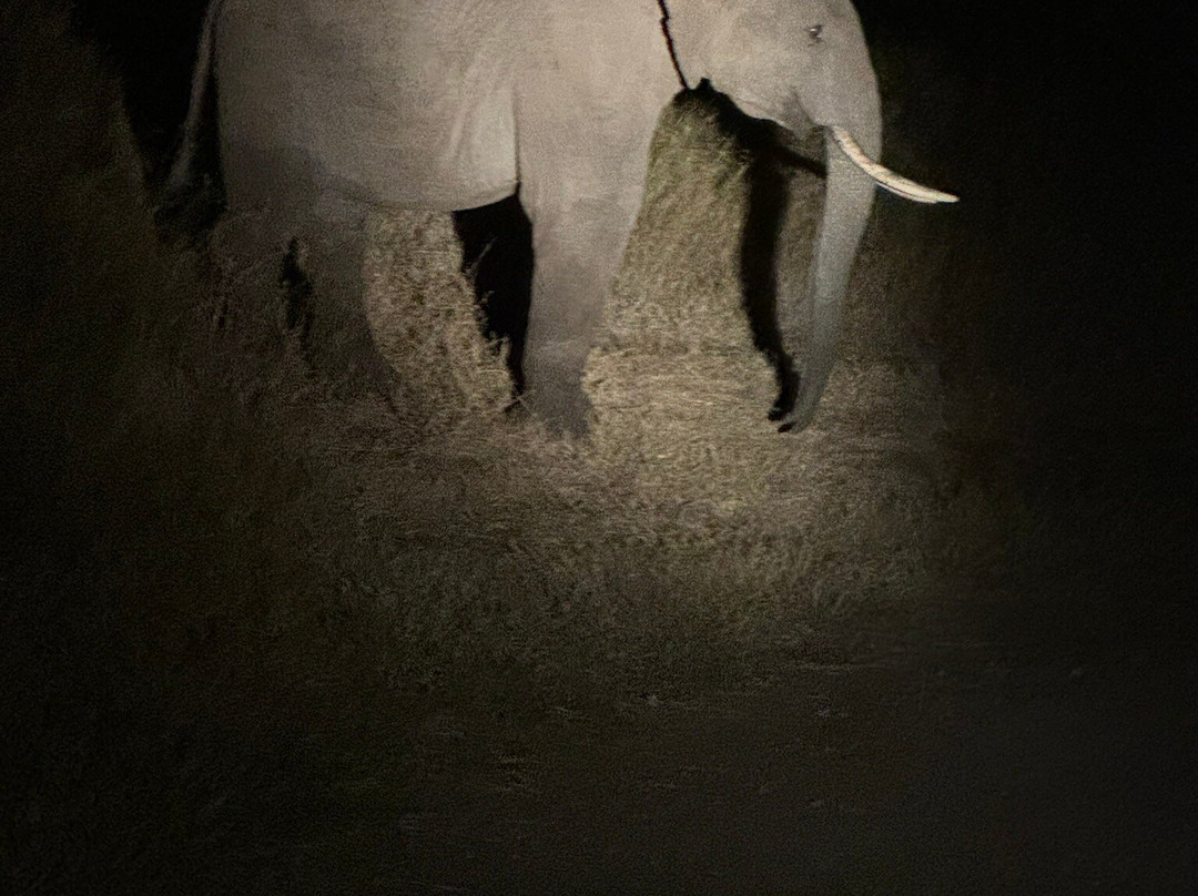 Comfort Gardens主图