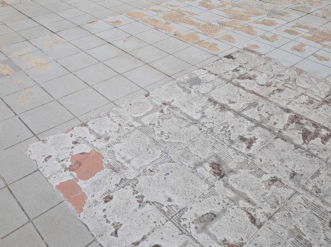 Hotel Millenium deluxe主图