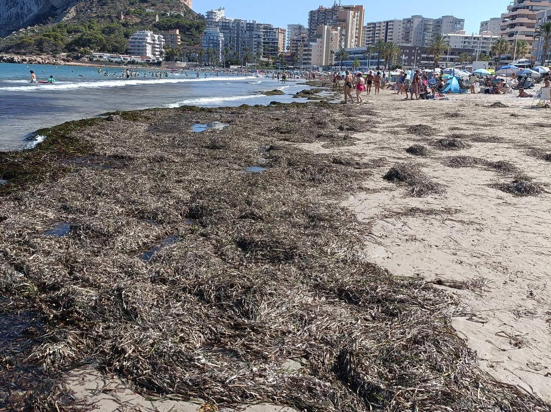 Playa de Levante o la Fossa-卡尔佩必去景点