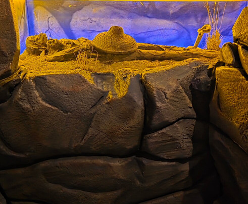 The Thing-Benson必去景点