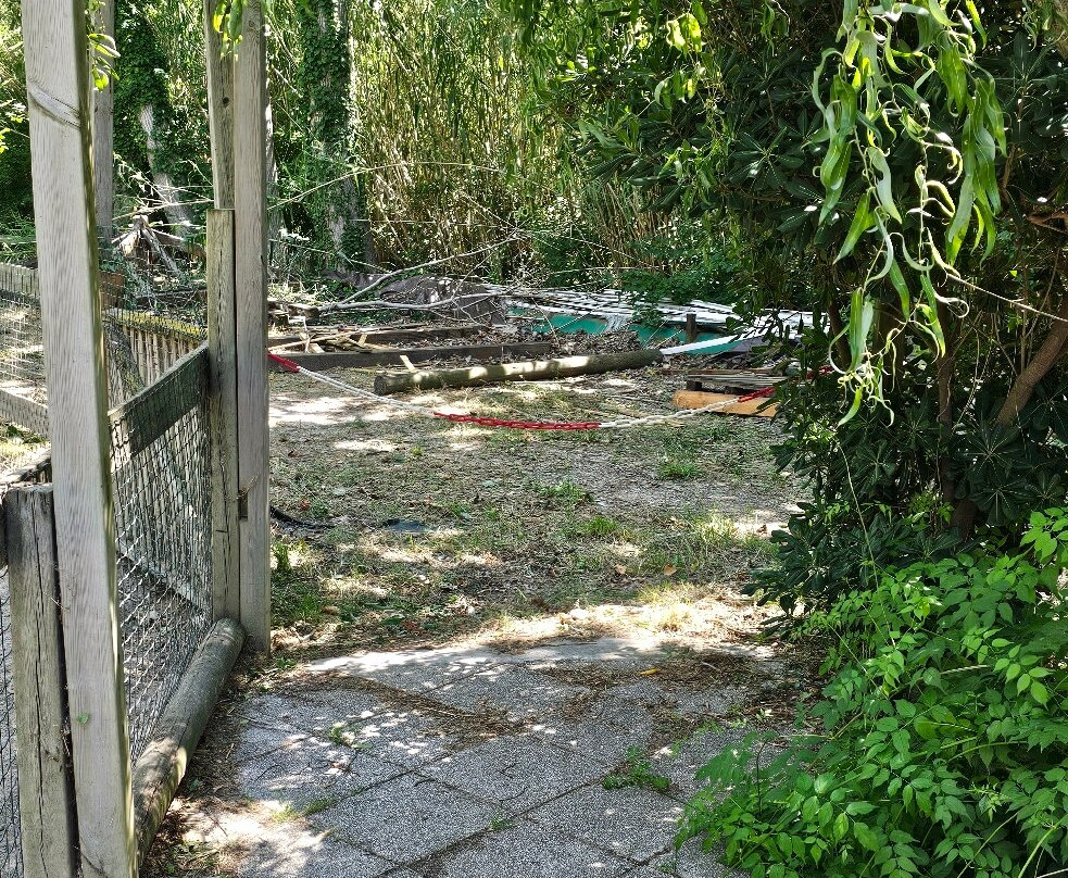 La Ferme de Découverte-Saint-Pierre-Lafeuille必去景点