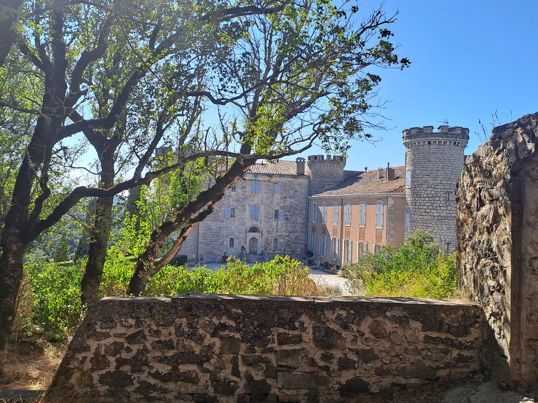 Château-Saint-Martin-de-Pallieres必去景点