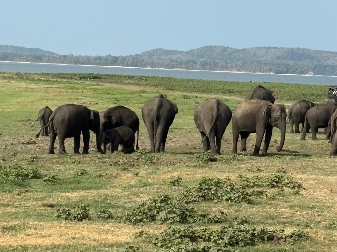Sri Lanka Escape-Eheliyagoda必去景点
