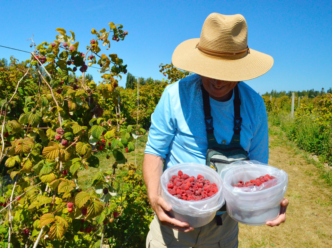 Graysmarsh Berry Farm-塞奎姆必去景点