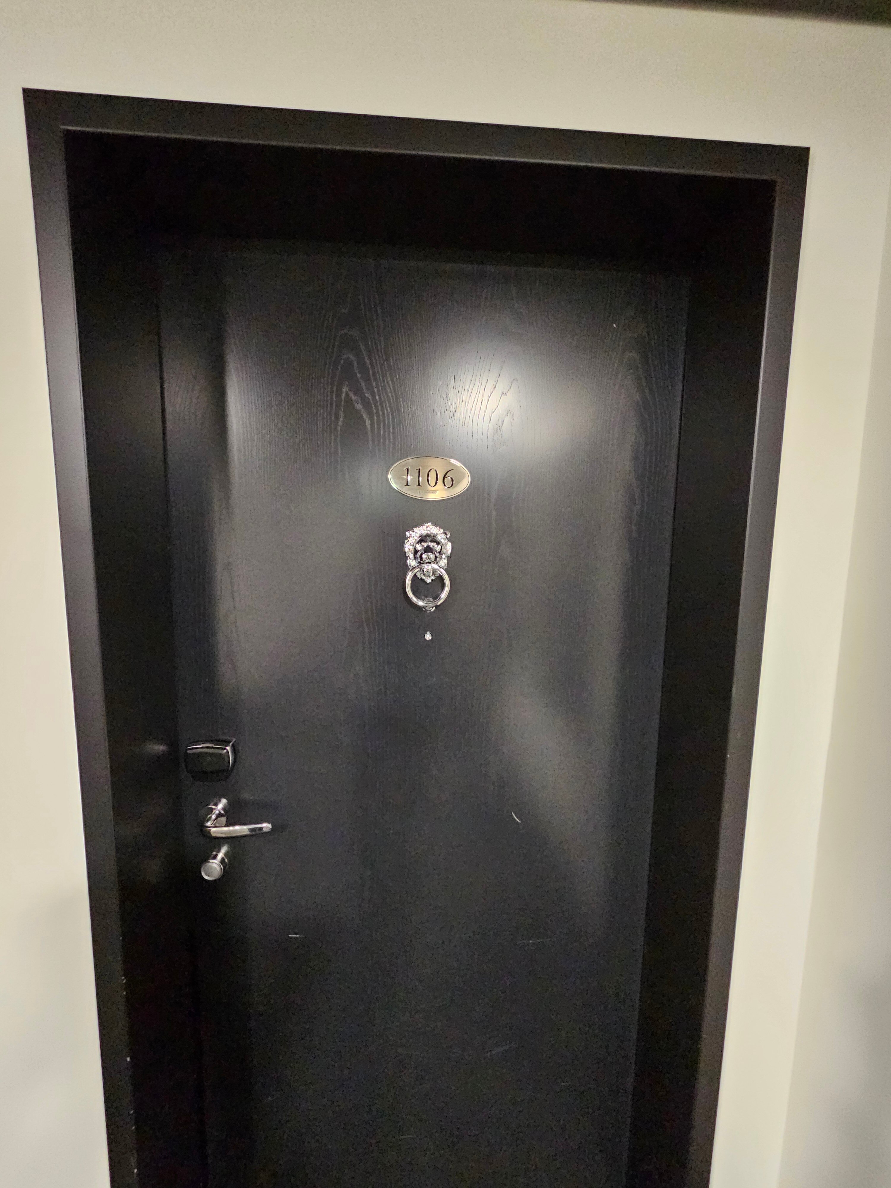 斯图加特机场瑞享酒店-客卧