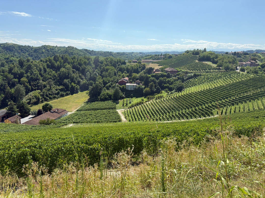 Antica Cascina Dei Conti Di Roero-Vezza d'Alba必去景点