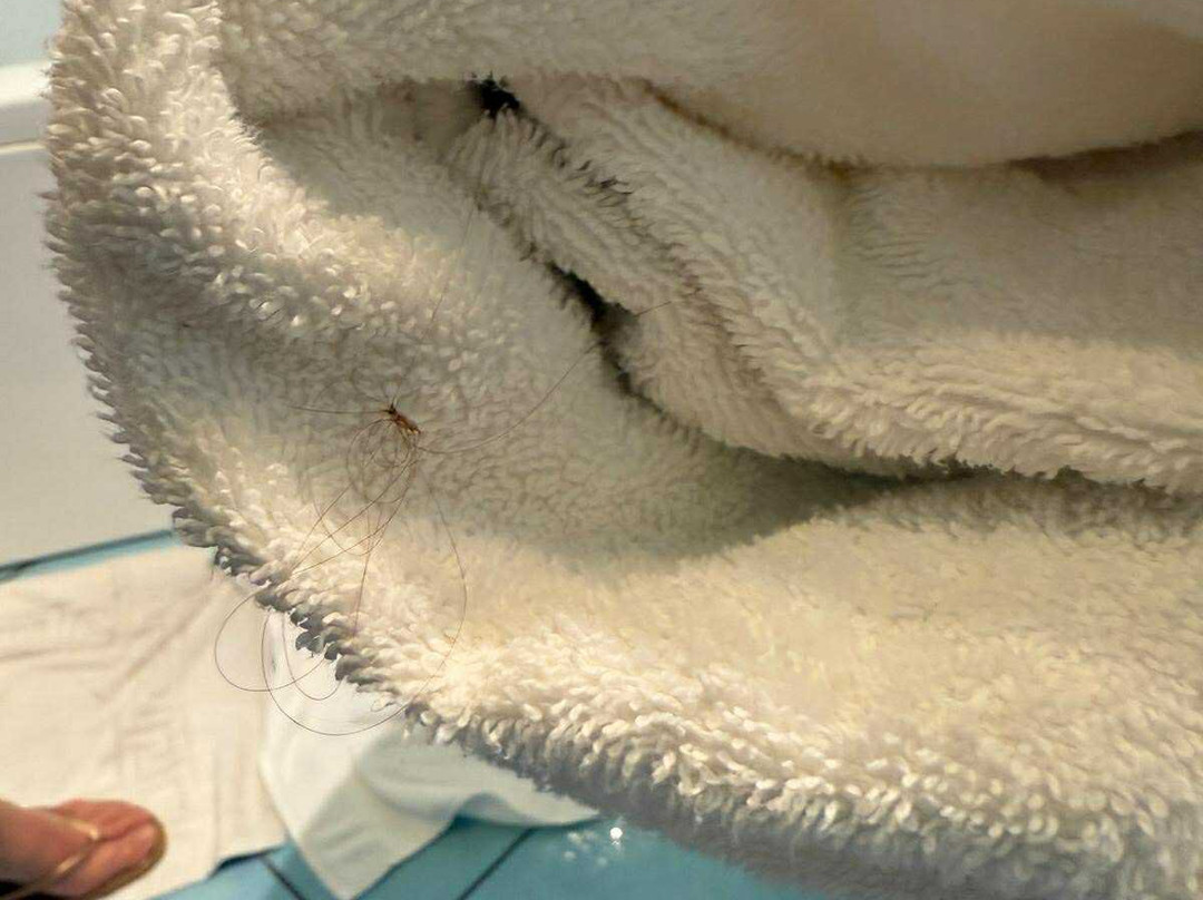 Hotel Cutimare - Aeolian Charme主图