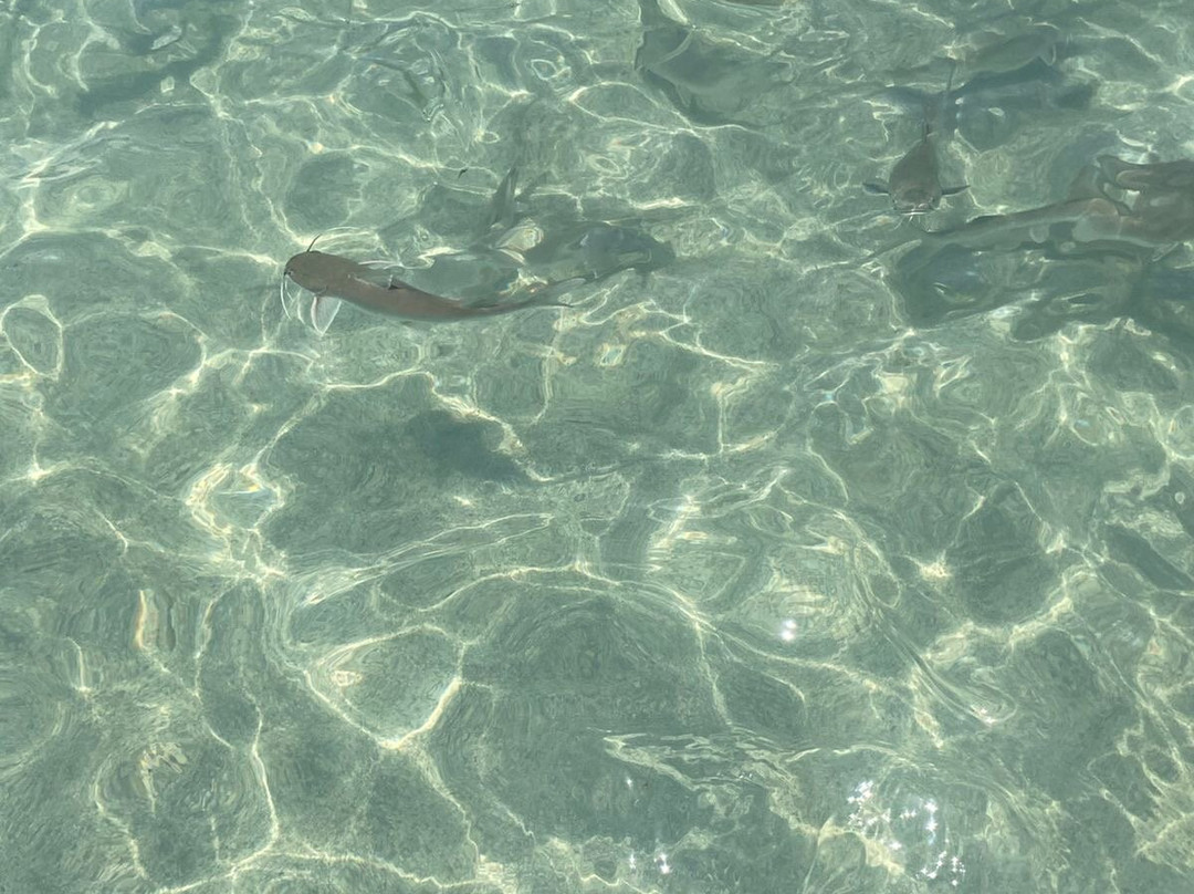 Caminho De Moisés-Maragogi必去景点