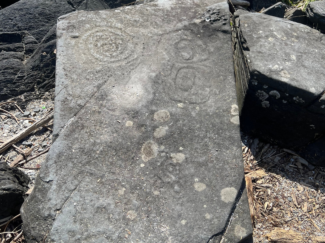 Petroglyph Beach State Historic Site-Wrangell必去景点
