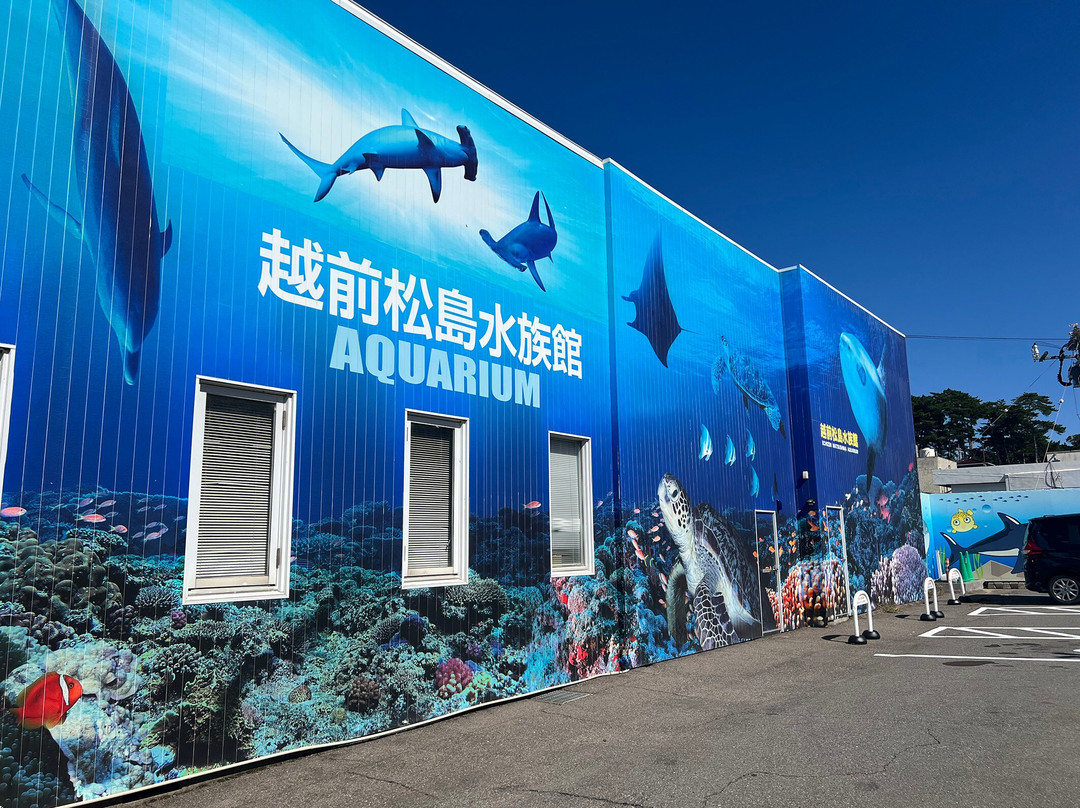 Echizen Matsushima Aquarium-坂井市必去景点