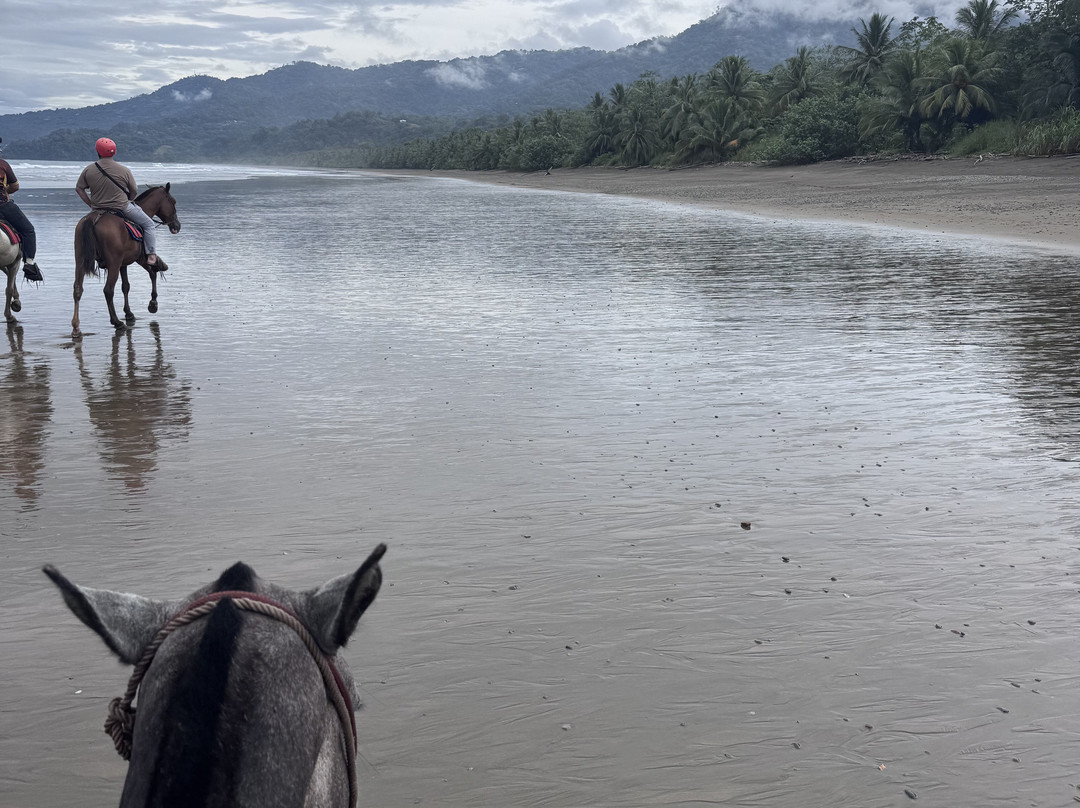 Rancho La Merced National Wildlife Refuge-乌维塔必去景点