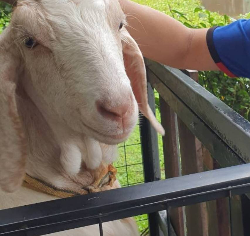 王同自然公园度假村主图