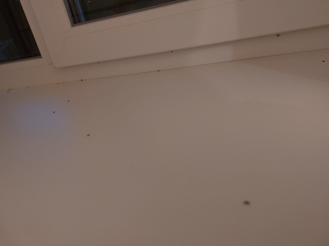 Guesthouse Ponka Housе主图