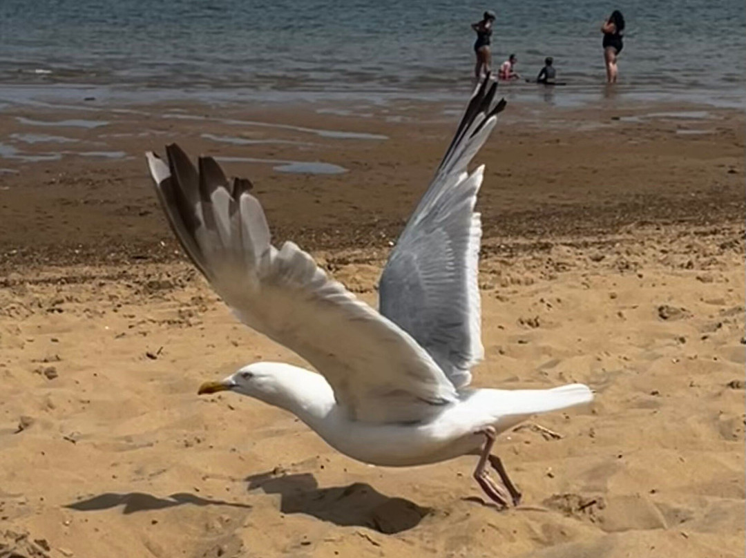 Wells Next The Sea Beach-Wells-next-the-Sea必去景点