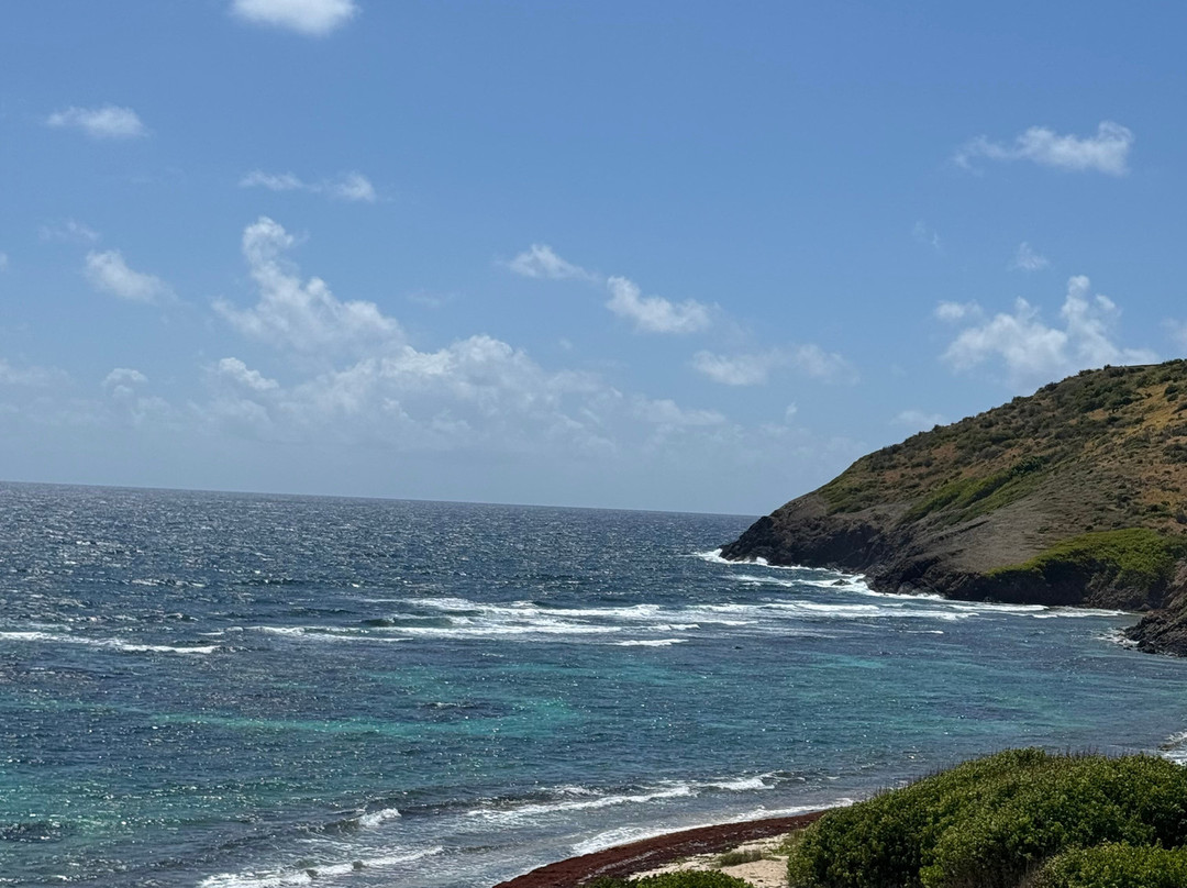 Point Udall-圣克鲁斯必去景点