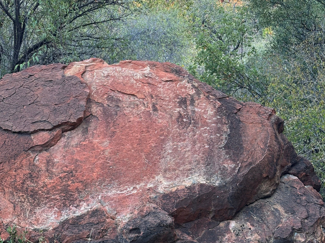 Okangala Tours & Safaris-华维斯湾必去景点