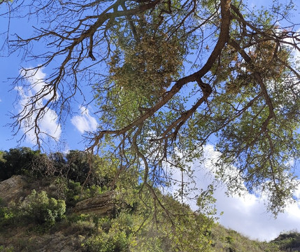Laghetti di Cavagrande-锡拉库扎必去景点