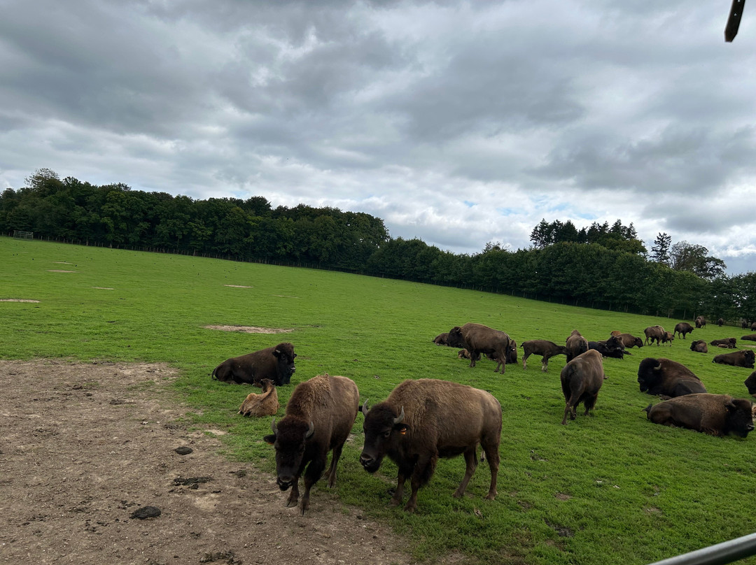 Rêve de Bisons-Muchedent必去景点