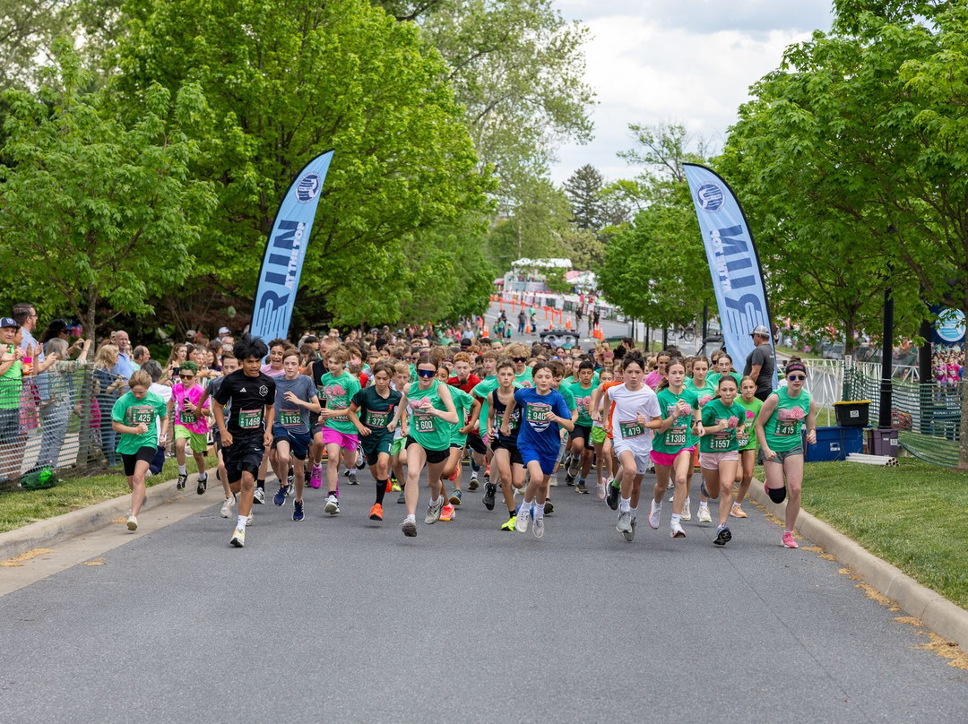 Shenandoah Apple Blossom Festival-温切斯特必去景点