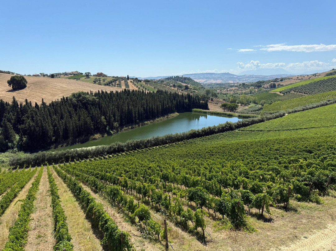 Fattoria Bruno Nicodemi-Notaresco必去景点