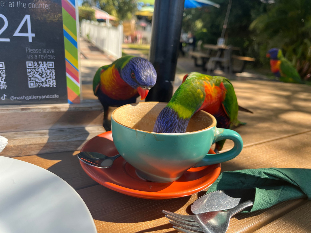 Brisbane Valley Rail Trail-伊普斯威奇必去景点