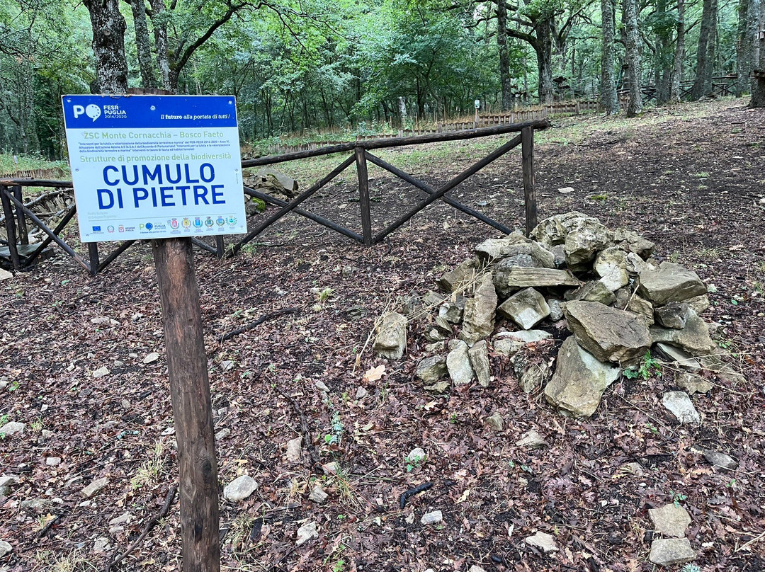 Daunia Avventura-Biccari必去景点