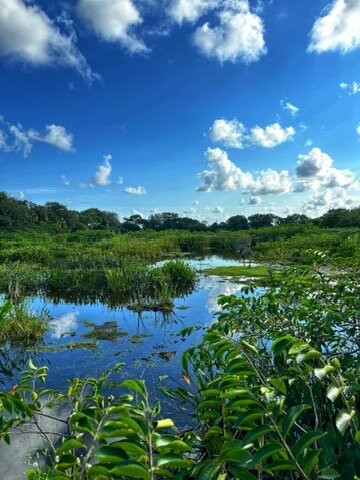 Wakodahatchee Wetlands-德拉海滩必去景点